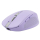 Myszka Trust OZAA COMPACT WIRELESS (fioletowy)